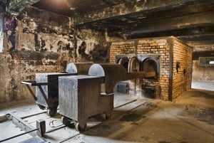 Krakow: Utflykt till minnesmärket Auschwitz-Birkenau med valfri lunch