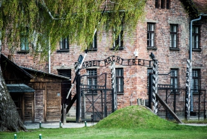 Krakow: Auschwitz Birkenau Museum Guided Tour with Pickup