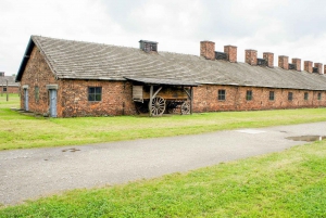 Krakow: Auschwitz Birkenau Museum Guided Tour with Pickup