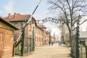 Krakow: Auschwitz Birkenau Museum Guided Tour with Pickup