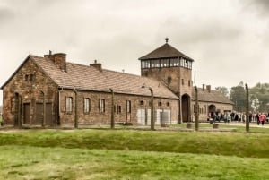 Krakow: Auschwitz Birkenau Museum Guided Tour with Pickup