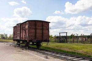 Cracovia: Trasferimento in autobus di sola andata per il Museo di Auschwitz-Birkenau