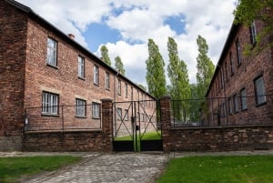 Cracovia: Trasferimento in autobus di sola andata per il Museo di Auschwitz-Birkenau