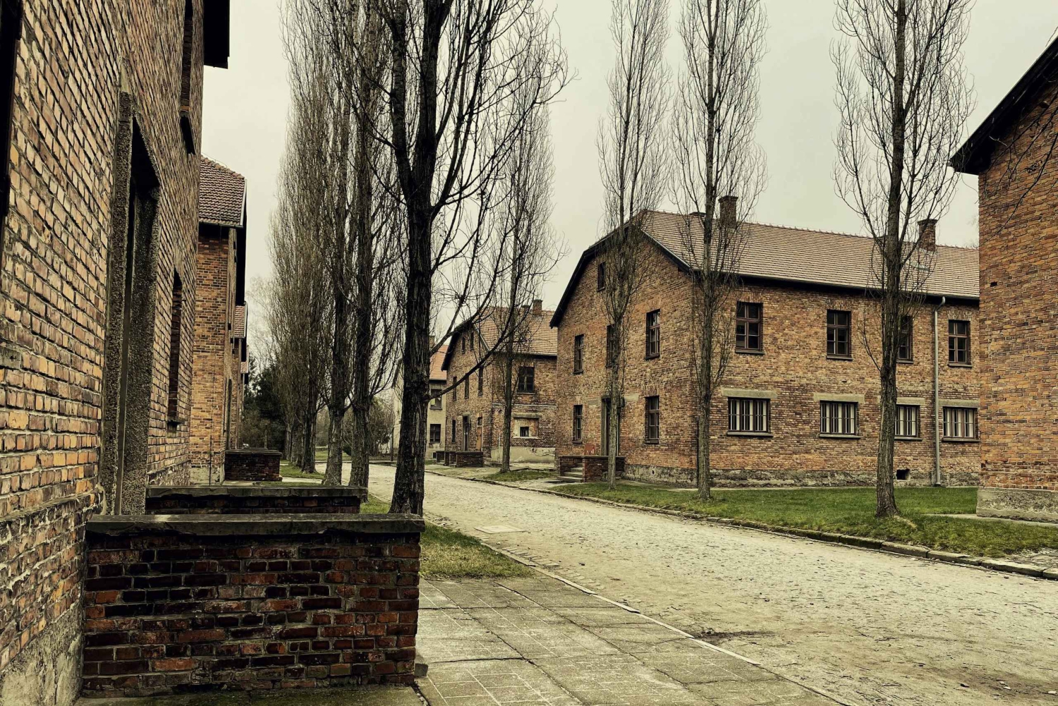 Kraków: Prywatna usługa szoferska Auschwitz-Birkenau