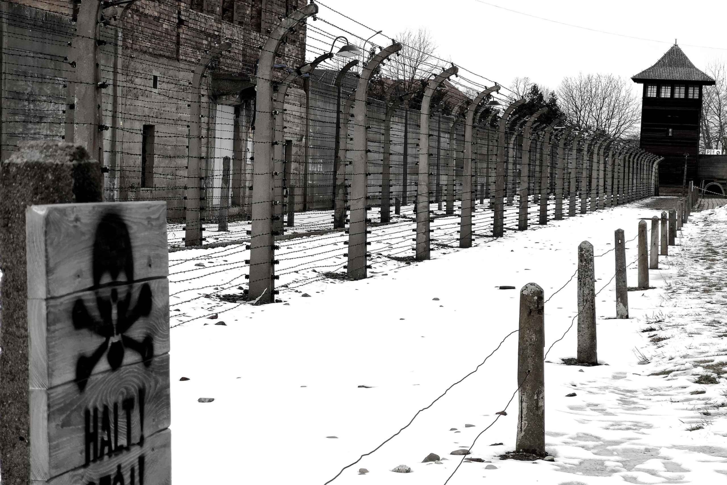 Kraków: Prywatna usługa szoferska Auschwitz-Birkenau