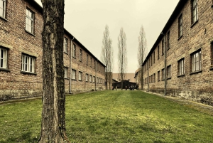 Kraków: Prywatna usługa szoferska Auschwitz-Birkenau