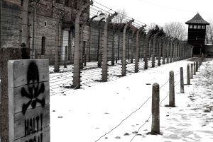 Kraków: Prywatna usługa szoferska Auschwitz-Birkenau