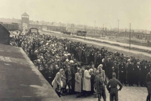 Kraków: Prywatna usługa szoferska Auschwitz-Birkenau