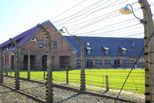 Krakow: Privat guidet tur til Auschwitz-Birkenau