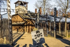 Kraków: Auschwitz-Birkenau Private Tour & Transportation