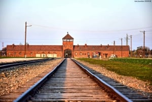 Kraków: Auschwitz-Birkenau Private Tour & Transportation