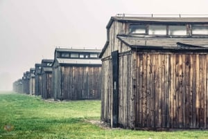 Kraków: Auschwitz-Birkenau Private Tour & Transportation