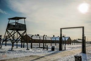 Kraków: Auschwitz-Birkenau Private Tour & Transportation