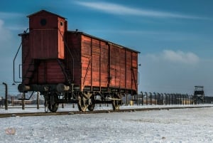 Kraków: Auschwitz-Birkenau Private Tour & Transportation