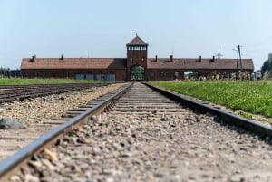 Krakow: Auschwitz-Birkenau Self-Guided Tour with Tour Leader