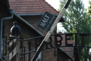 Krakow: Auschwitz-Birkenau Self-Guided Tour with Tour Leader