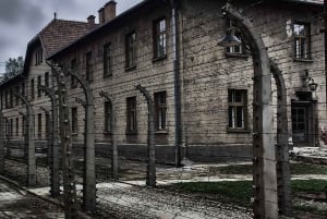 Krakow: Auschwitz-Birkenau Self-Guided Tour with Tour Leader