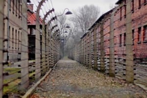 Krakow: Auschwitz-Birkenau Self-Guided Tour with Tour Leader