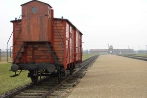 Cracovia: tour autoguidato di Auschwitz-Birkenau con accompagnatore