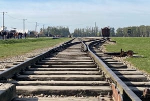 Cracovia: tour autoguidato di Auschwitz-Birkenau con accompagnatore