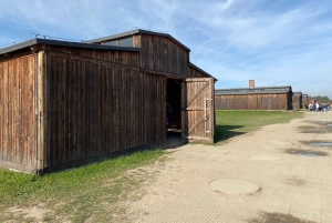 Cracovia: tour autoguidato di Auschwitz-Birkenau con accompagnatore