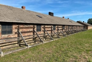Cracovia: tour autoguidato di Auschwitz-Birkenau con accompagnatore