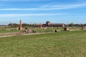 Cracovia: tour autoguidato di Auschwitz-Birkenau con accompagnatore