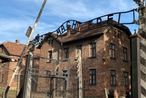 Cracovia: tour autoguidato di Auschwitz-Birkenau con accompagnatore