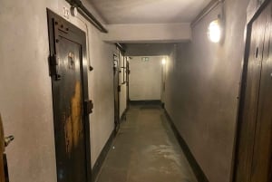 Cracovia: tour autoguidato di Auschwitz-Birkenau con accompagnatore