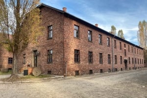 Cracovia: tour autoguidato di Auschwitz-Birkenau con accompagnatore