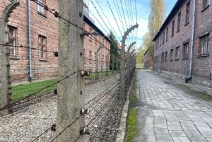 Cracovia: tour autoguidato di Auschwitz-Birkenau con accompagnatore
