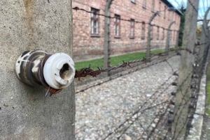 Cracovia: tour autoguidato di Auschwitz-Birkenau con accompagnatore