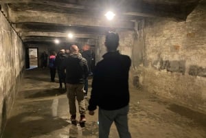 Cracovia: tour autoguidato di Auschwitz-Birkenau con accompagnatore
