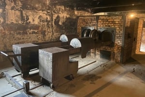 Cracovia: tour autoguidato di Auschwitz-Birkenau con accompagnatore