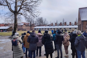 Krakow:Auschwitz Birkenau Tour-We don't cancel 100% warranty
