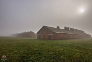 Krakow: Auschwitz-Birkenau Tour Hotel Pickup & Lunch Options