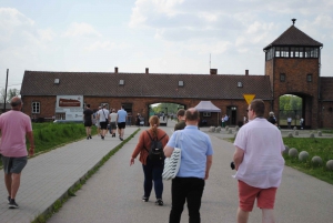 Krakow: Auschwitz-Birkenau Tour Hotel Pickup & Lunch Options