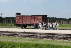 Krakow: Auschwitz-Birkenau Tour Hotel Pickup & Lunch Options