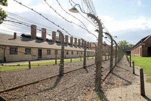 Krakow: Auschwitz-Birkenau Tour Hotel Pickup & Lunch Options