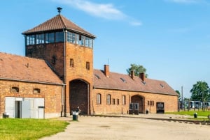 Kraków: Auschwitz-Birkenau Tour & Private Airport Transfer
