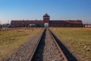 Krakow: Auschwitz-Birkenau-tur med mulighet for tur neste dag