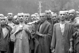 Krakow: Auschwitz-Birkenau Tour with Private Transport