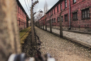 Fra Krakow: Auschwitz-Birkenau-tur med lisensiert guide