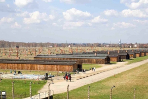 From Krakow: Auschwitz-Birkenau Guided Tour & Transportation