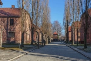 Krakow: Auschwitz-Birkenau Entry Ticket and Transfer