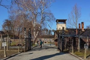 Krakow: Auschwitz-Birkenau Entry Ticket and Transfer