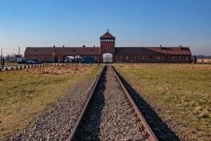 Krakow: Auschwitz-Birkenau Entry Ticket and Transfer