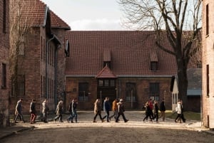 Da Cracovia: tour di Auschwitz-Birkenau e della miniera di sale di Wieliczka