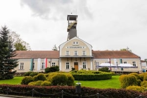 Da Cracovia: tour di Auschwitz-Birkenau e della miniera di sale di Wieliczka