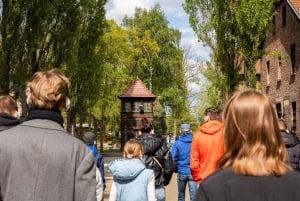 Da Cracovia: tour di Auschwitz-Birkenau e della miniera di sale di Wieliczka